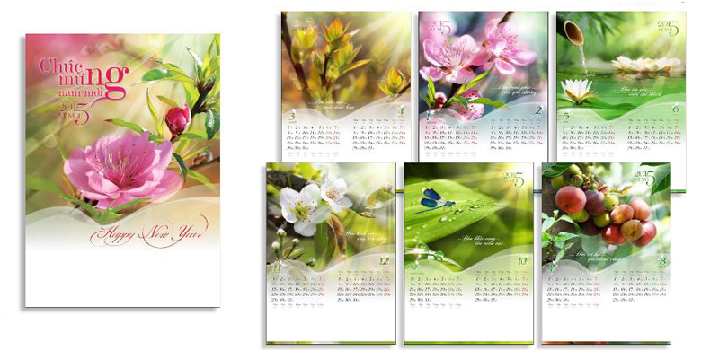 mau lich tet quy mui 2015-21