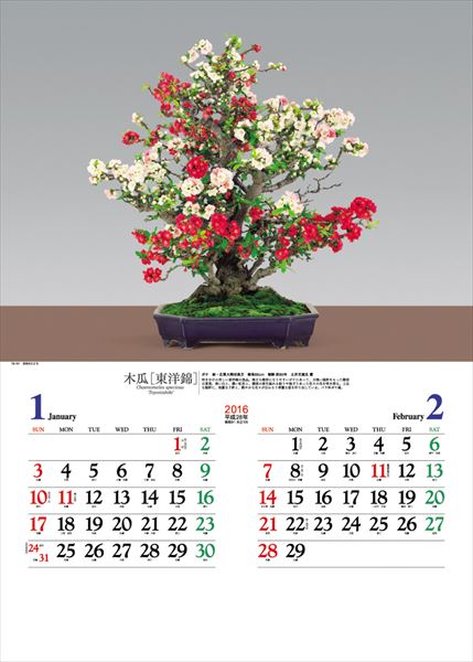 lich nam 2016 phong cach nhat ban 02
