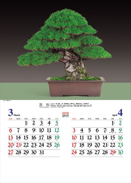 lich nam 2016 phong cach nhat ban 03