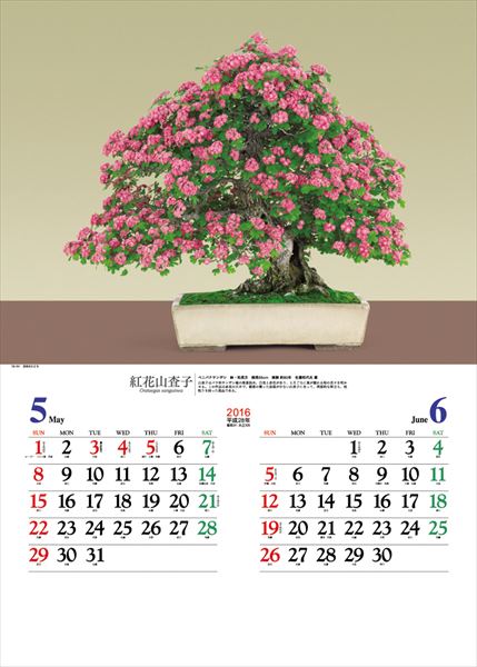 lich nam 2016 phong cach nhat ban 04