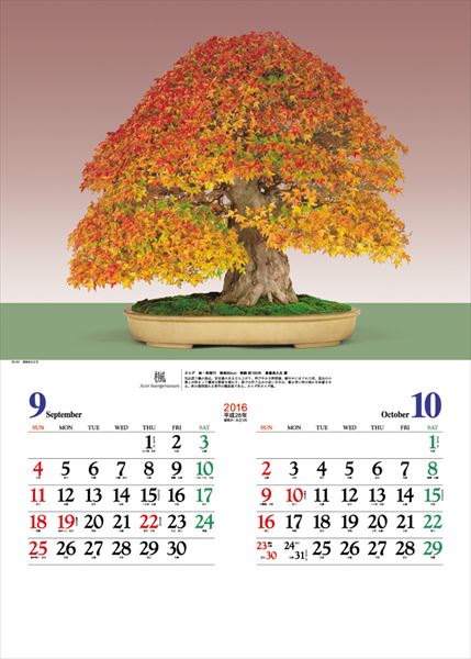 lich nam 2016 phong cach nhat ban 06