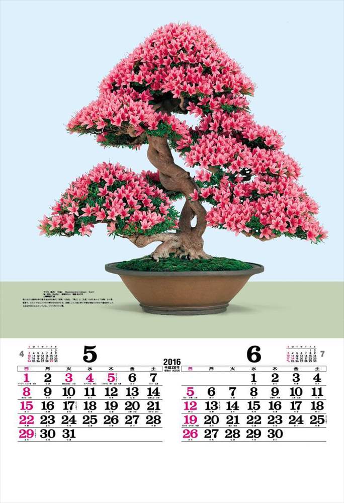 lich nam 2016 phong cach nhat ban 11