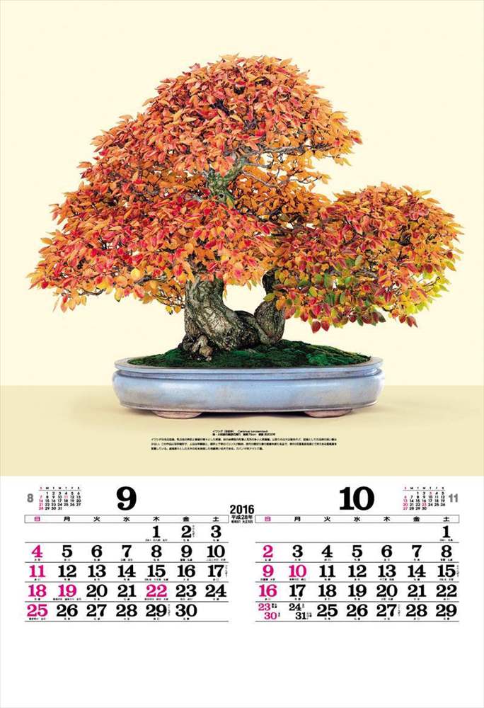 lich nam 2016 phong cach nhat ban 13