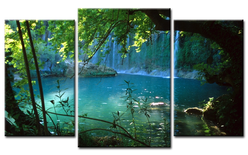 tranh canvas phong canh