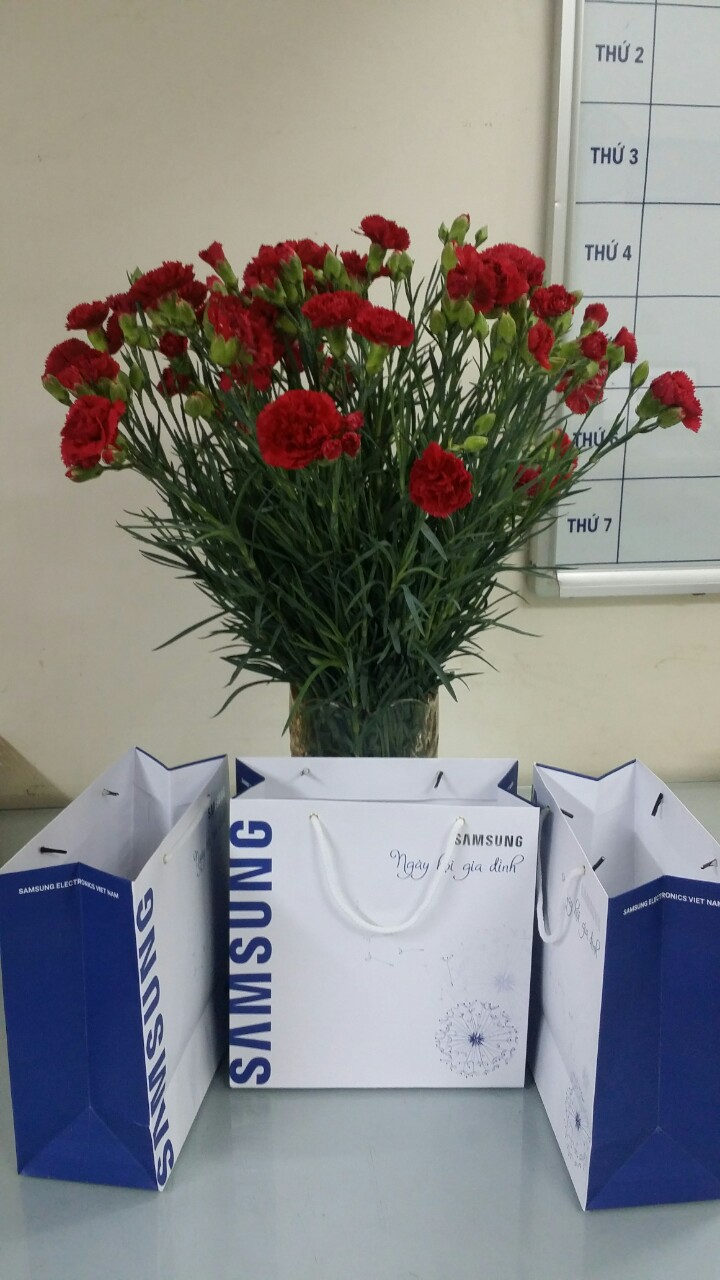 Tui giay samsung