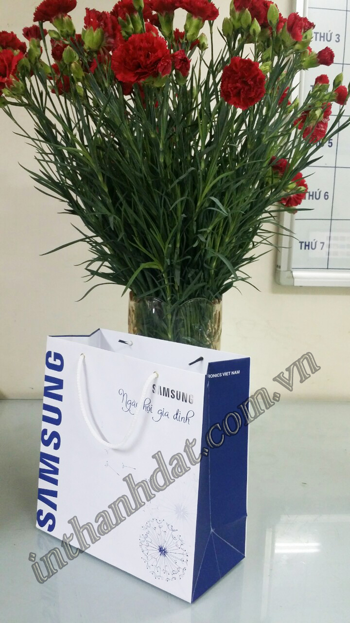 Tui giay Samsung