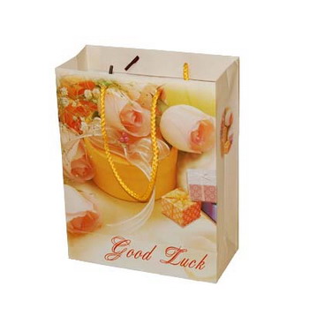 túi giáy ấn tượng