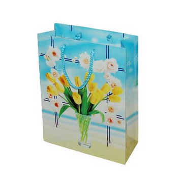 in túi giấy tại hà nội giá rẻ