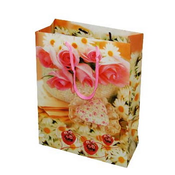 thiết kế và in túi giấy giá rẻ