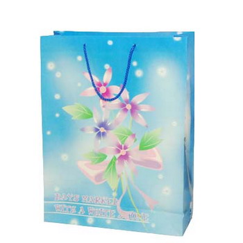 in túi giấy đẹp và rẻ ở hà nội
